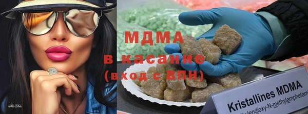 индика Абаза