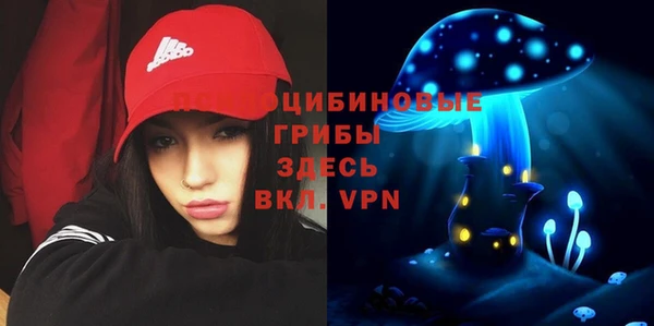 круглые Алзамай