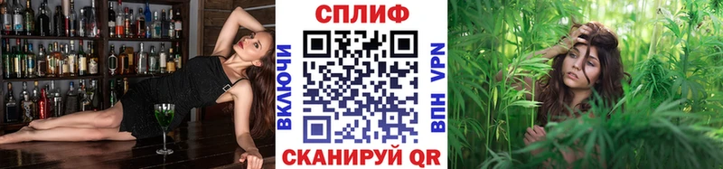 купить наркотик  Железногорск-Илимский  Конопля AK-47 